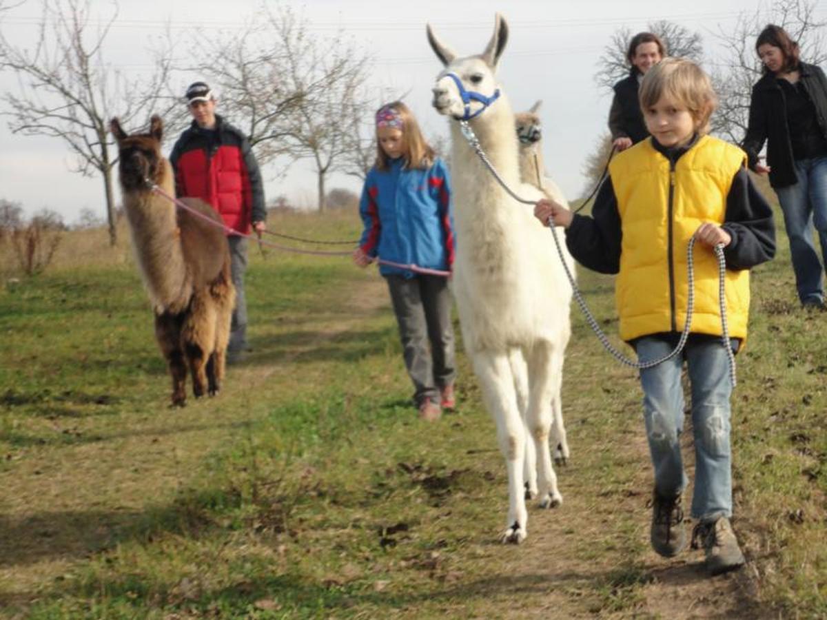 Ursenbacherhof Waibstadt Esterno foto